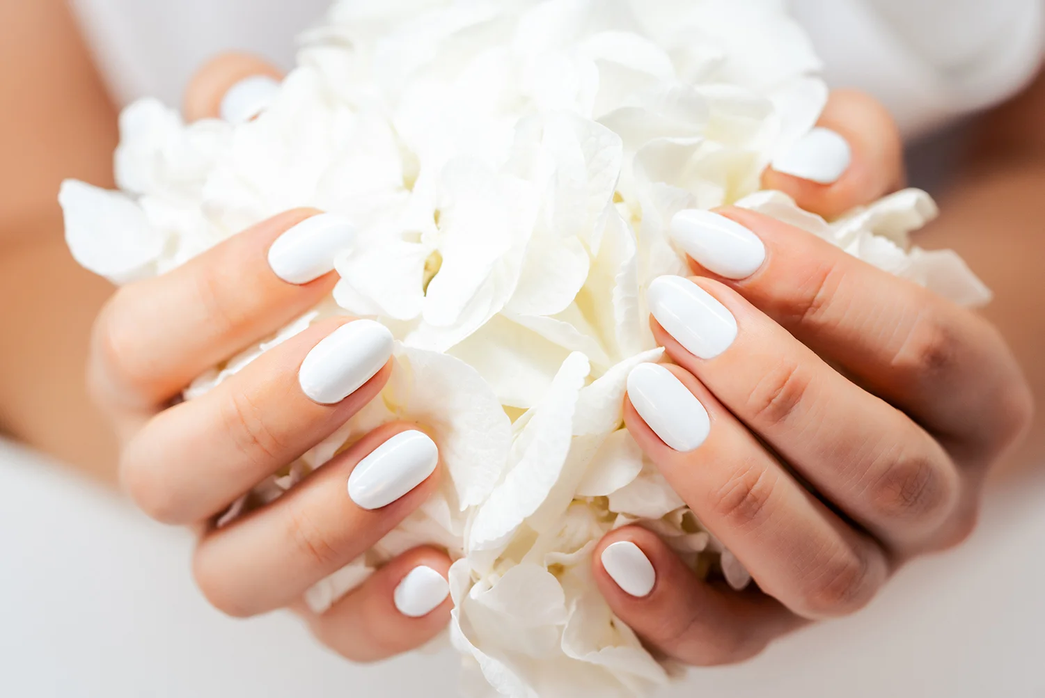 LeDaMa kosmetikstudio — Stuttgart-Zuffenhausen — Naturnagelverstärkung